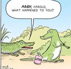Animals Alligators Jokes Nerium Esthetician Humor Rodan And Fields