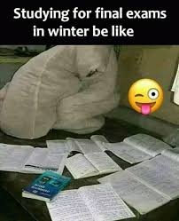 Bird Bird Bird Bird Is The Word Timbaland Student Funny Memes In Www Fundoes Com Funny School Jokes Fun Quotes Funny Funny School Memes