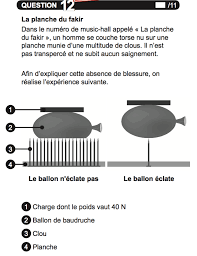 Sciences 2019 ce1d sciencessciences 2019 ce1d sciences. Ce1d Sciences 2017 Corrige