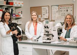 The need for additional images doesn't necessarily mean there was a problem or that something abnormal was found, and should not be a cause of concern for you. Town N Country Animal Hospital