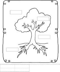 Pin On Trees School Theme