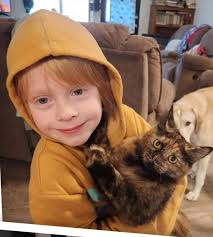 MISSING CAT‼️ Name: Aivy Last Seen: Lati, Orion Last info po is hindi nya  na po suot yung collar nya ☹️ Please pm if you have any leads, thank you in  advance 🥺