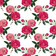 Crisp white bath fixtures pop against the stylized design of the floral pattern. Vintage Roses Background Pink Free Stock Photo Free For Private And Commercial Use Rose Background Vintage Roses Digital Flowers