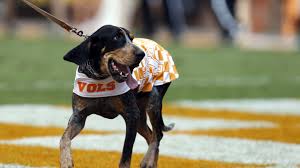 The university of tennessee 3x national champion mascot & 2006 hall of fame inductee. Smokey To Make Special Appearance At Bill Signing Making Him Tn State Dog