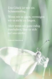 Wie Mein Ausstieg Mein Leben Verandert Hat Reiseblog Bravebird Spruch Schmetterling Schmetterling Zitate Lebensweisheiten Spruche