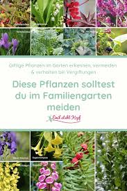 Giftige pflanzen, die in ihrem garten oder heim wachsen, sollten sie möglichst entfernen. Achtung Giftige Pflanzen Diese Pflanzen Solltest Du Im Familiengarten Meiden Emil Steht Kopf