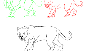 Puma coloring page to color, print or download. Puma Coloring Page Free Coloring Library
