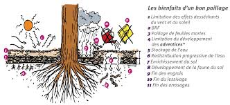 We did not find results for: Le Paillage Tco Communaute D Agglomeration Du Territoire De La Cote Ouest Tco La Reunion