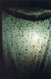 Why Are Moths Attracted To Lights Aquaponics Supplies Aquaponics Kit Aquaponics