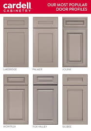 Styles Of Kitchen Cabinet Doors 2020 In 2020 Kitchen Cabinet Door Styles Cabinet Door Styles Kitchen Cabinet Doors