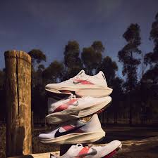 Image result for Running Shoe