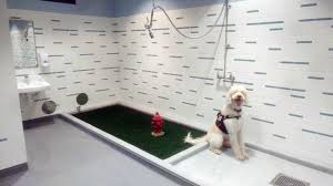 Check spelling or type a new query. Hartsfield Jackson Atlanta International Airport Atl Pet Relief Areas Pet Friendly Travel