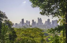 Any tips for fellow hikers? Parque Natural Metropolitano A Forest In The City Panorama Magazine
