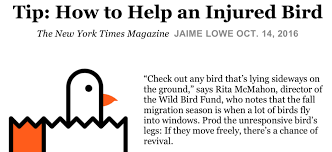 Rescue - Wild Bird Fund