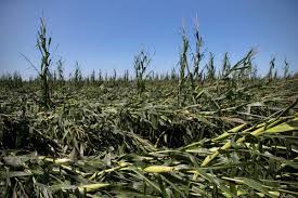May 27, 2021 · widespread, destructive straight line winds blew across central iowa during the day on august 10, 2020. In Derecho S Wake More Than 250 000 In Midwest Struggle Without Power The New York Times