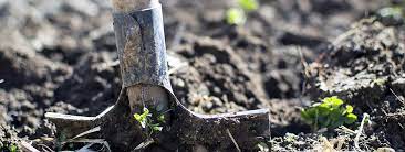 paillage jardin comment quand et pourquoi decovrac