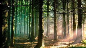 Filipe On Twitter Beautiful Nature Macbook Pro Wallpaper Nature