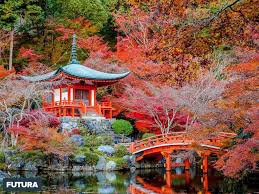 Feerique Jardin Japonais Paysage Asiatique Japon Paysage Japon Tourisme