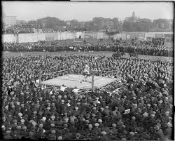 images?q=tbn:ANd9GcQpNWMK8rlMI5vJAK3of3O