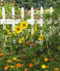 Pretty Blumengarten Design Blumen Anbauen Schone Blumen