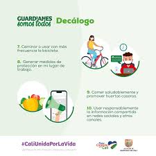 Téléchargez 333 icônes vectorielles et kits d'icônes. Alcaldia De Cali Added A New Photo Alcaldia De Cali Facebook