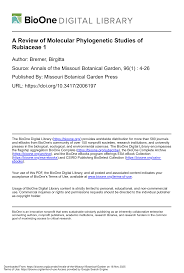 Image result for Rutidea fuscescens