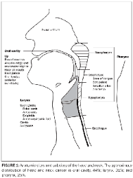 The following is a synthesis of radiologically useful boundaries for each level. Head And Neck Tumors