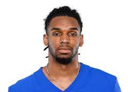 Mountaineers in the NFL