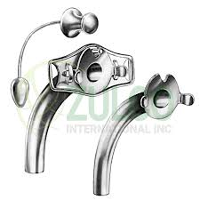 Image result for Trachypogon chevalieri