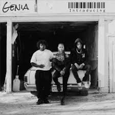 Image result for magnolia genia