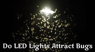 Exclusive deals at 50% off. Do Led Lights Attract Bugs