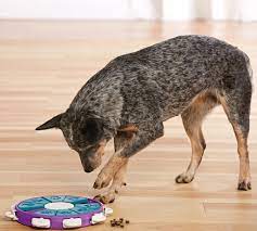 For dogs who have already dabbled with puzzle toys, level 2 toys are a better choice. Outward Hound Dog Twister Level 3 Ham Bone