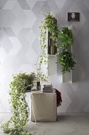 E' una delle piante da interni più diffuse in assoluto, ma. Piante O Candele Per Decorare Il Bagno E La Casa A Casa Di Guido