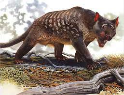 Pin By Loba Branca On Creatures Prehistoric Animals Extinct Animals Ancient Animals