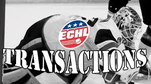 Official Site of The ECHL