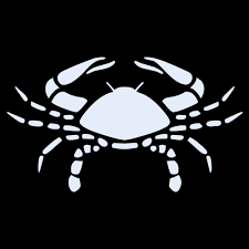 1, 5, 6, 10, 15, 20, 24, 28. Oroscopo Nato Il 25 Giugno Segno Zodiacale Cancro