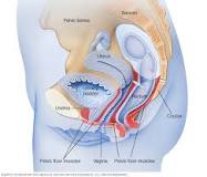 Image result