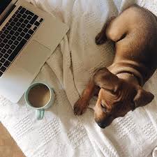 Buscas trabajo?, ganarte un extra? Rooney Instagram Design Editorial