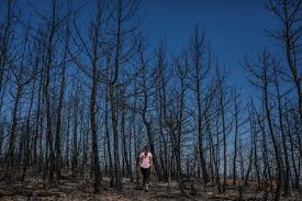 Easy garena free fire hack. Bm5nltfljy4whm