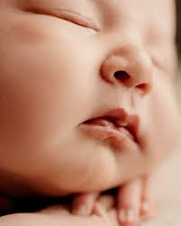 ally megill shipley (@allyshipley) • Instagram photos and videos