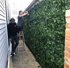Maybe you would like to learn more about one of these? Boston Ivy Leaf Screen Green Wall Panel Uv Resistant 1x1 M