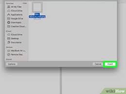 Cara Menambahkan Clipart Ke Microsoft Word Dengan Gambar