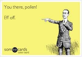 Today S News Entertainment Video Ecards And More At Someecards Someecards Com Allergies Funny Hayfever Funny Wallpaper Funny Quotes