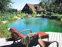 Achieve Beautiful Healthy And Blue Water With Organic Pond Dyes And Products Www Organicpond Com Schwimmteich Wasserspiel Garten Naturschwimmbecken
