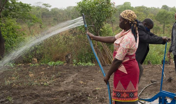 Mozambican Smallholder Farmers Adopt Environmentally-Friendly Irrigation - IFDC