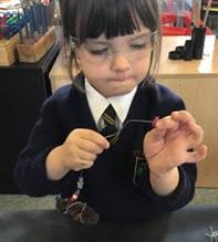 Physical development in early childhood