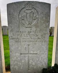 Search for "Levins" in lastname