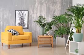 Decoracion con vida.hermosa forma de llevar vida a esos difíciles espacios para decorar el hogar. Las Mejores Plantas Para Decorar Tu Hogar Nexdom