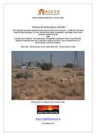 Image result for Pegolettia retrofracta