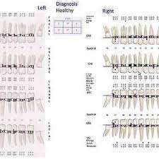 Example Of The Standard Orthodontic Documentation With